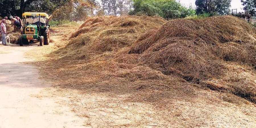 Indias First plant to convert paddy straw into biogas