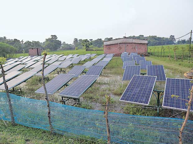 Solar MIcro Grid Companies in India